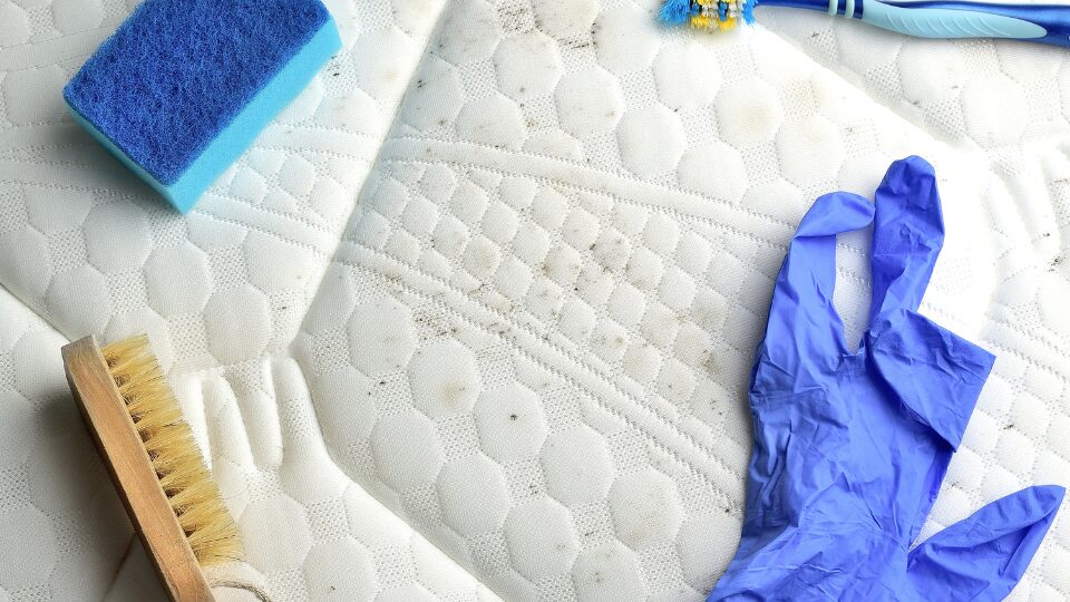 Removing mold stains from the mattress