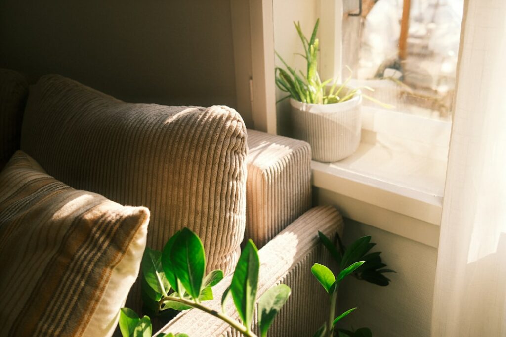eco-friendly cleaning