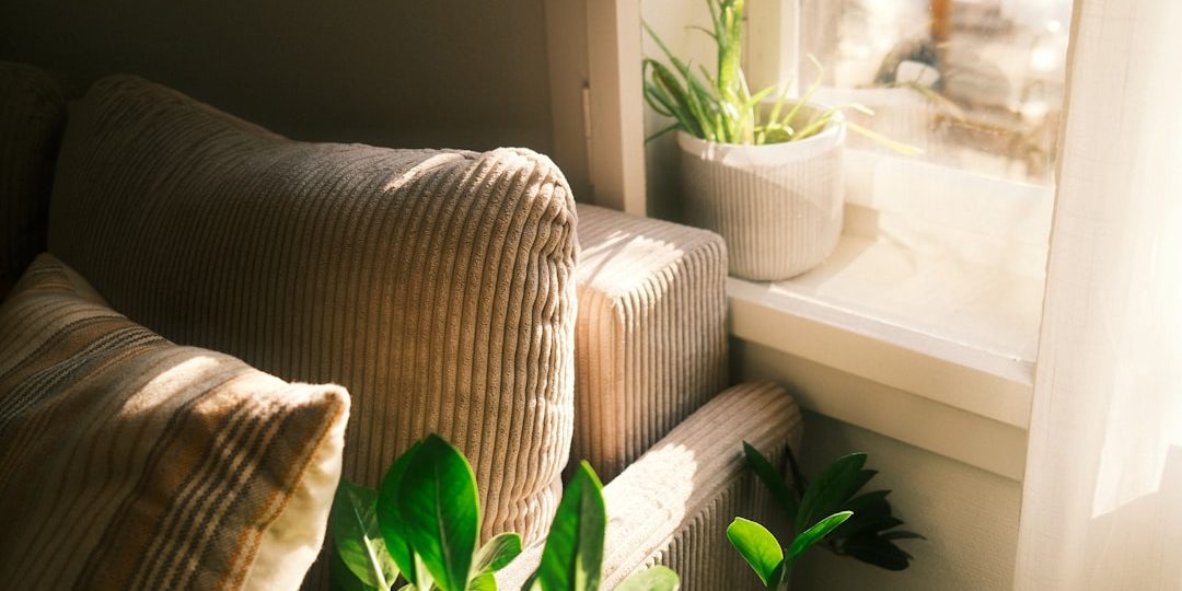 eco-friendly cleaning