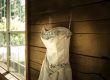 cost to preserve wedding gown